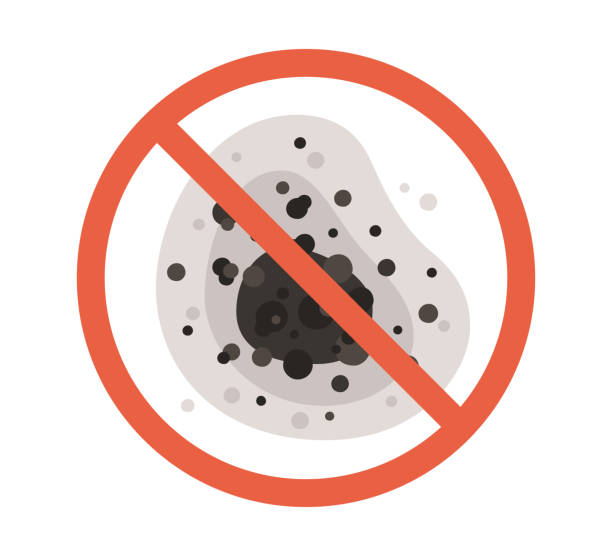 Best Black Mold Removal  in Red Bank, TN